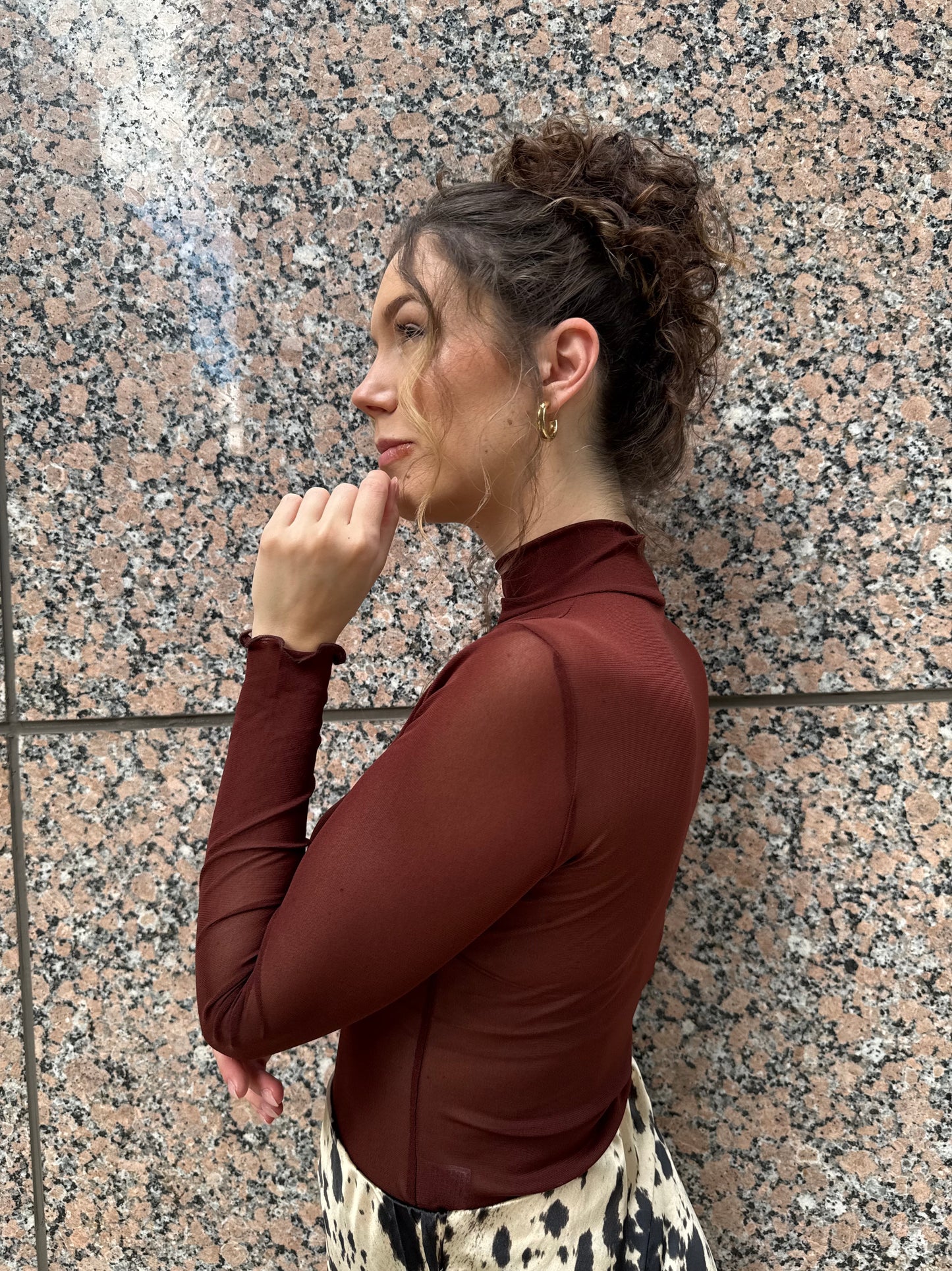 Sheer Turtleneck Long Sleeve Blouse