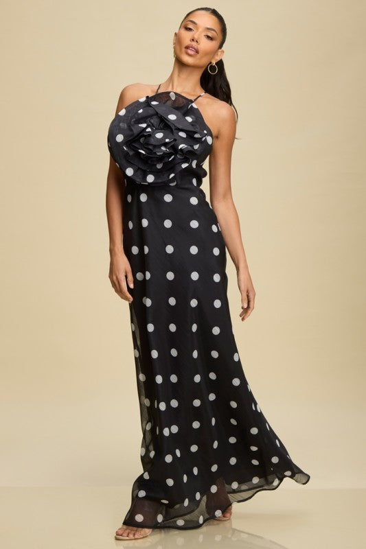 Polka Dot Floral Maxi Dress
