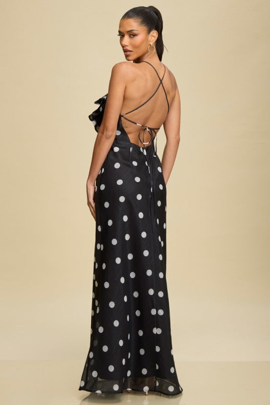 Polka Dot Floral Maxi Dress
