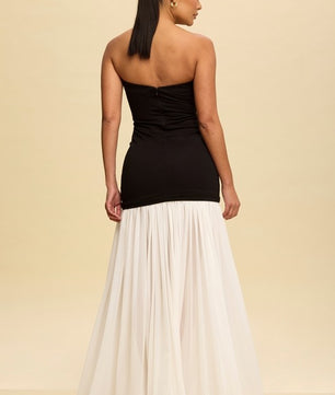 Tube Maxi Dress  Shirred Chiffon