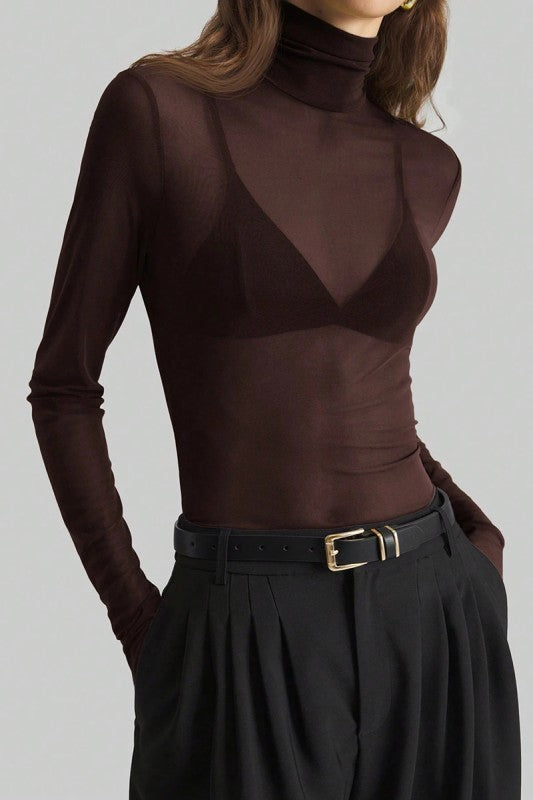 Sheer Turtleneck Long Sleeve Blouse