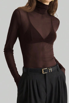 Sheer Turtleneck Long Sleeve Blouse