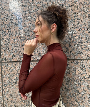 Sheer Turtleneck Long Sleeve Blouse
