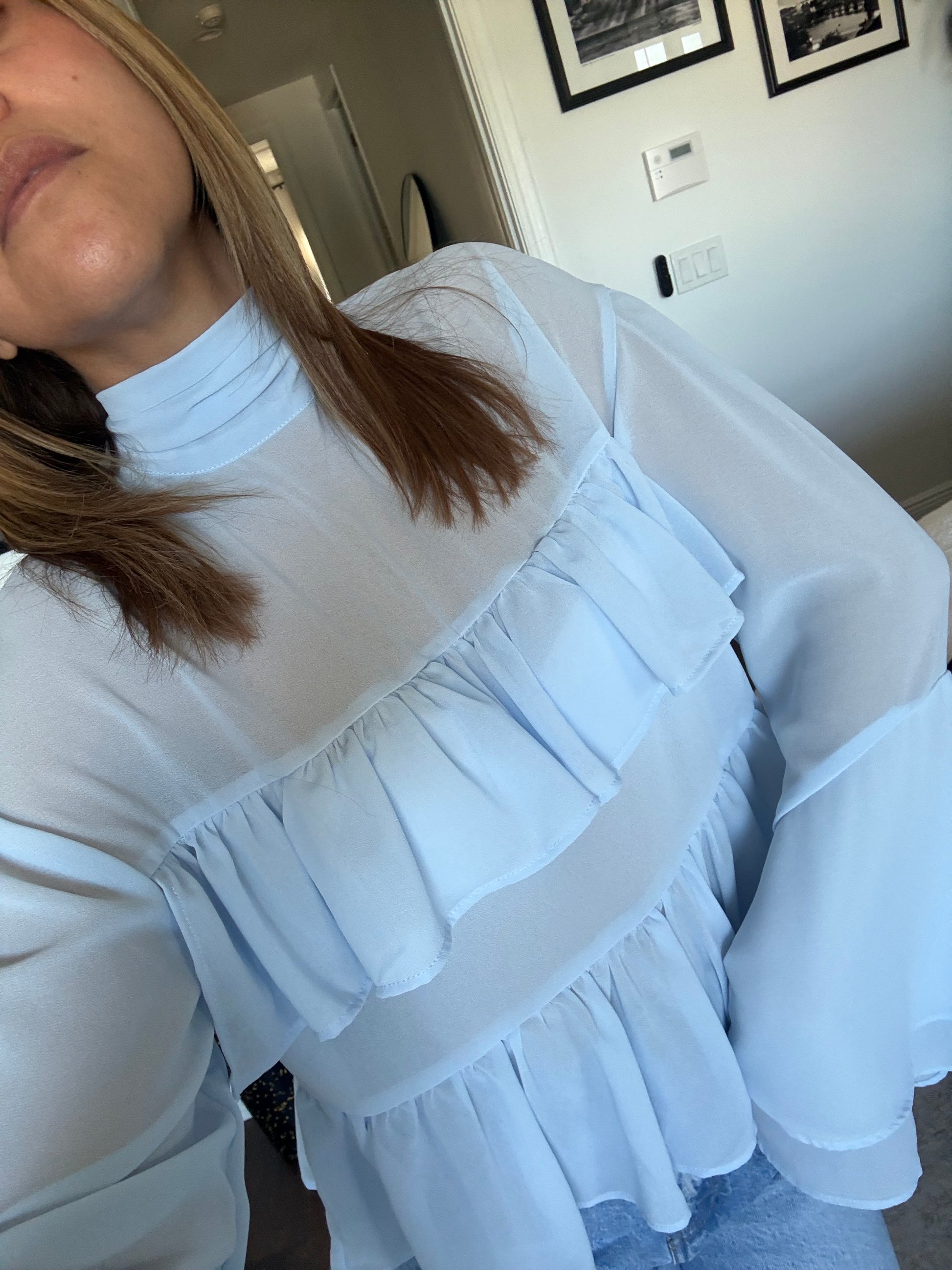 Ruffled Flared Sleeve Layered Sheer Blouse