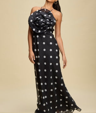 Polka Dot Floral Maxi Dress