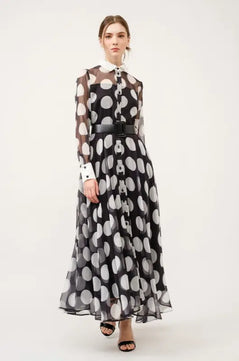 Chiffon Polka Dot Print Long-Sleeve Maxi Dress