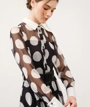 Chiffon Polka Dot Print Long-Sleeve Maxi Dress