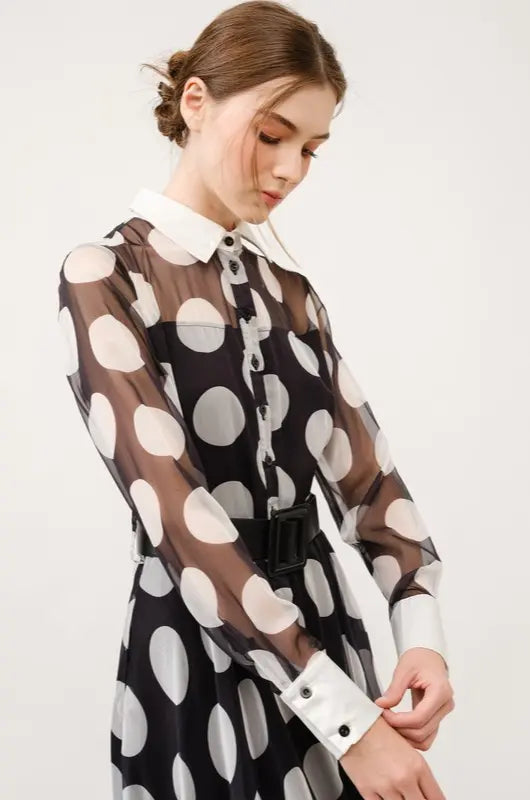 Chiffon Polka Dot Print Long-Sleeve Maxi Dress