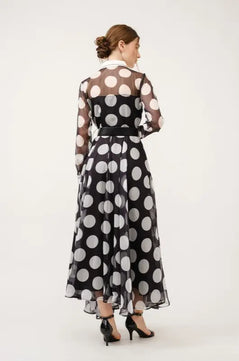 Chiffon Polka Dot Print Long-Sleeve Maxi Dress